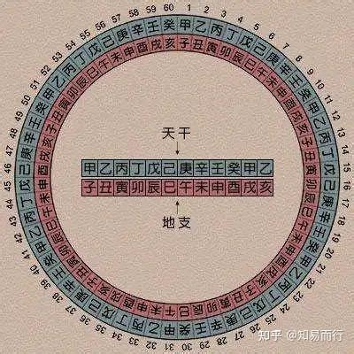 甲木女2024|2024甲辰年癸酉月运势（甲木篇）乾坤网算命一条街